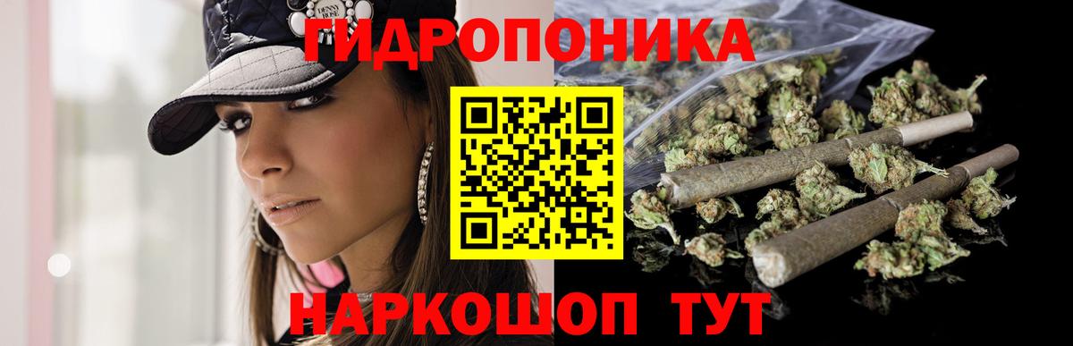 Бошки Шишки Bruce Banner  Бошки Шишки THC 21%  Вход с VPN  Отрадный  Марихуана VHQ 